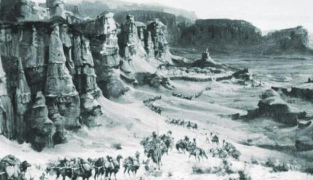 左宗棠的手下败将阿古柏，他一生都做了些什么