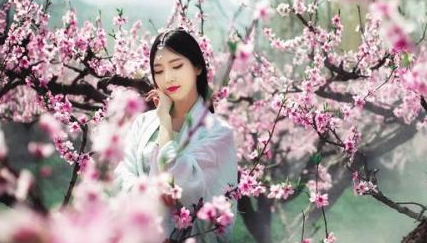 古代爱情故事之崔护与绛娘:物是人非,桃花依旧笑春风-趣历史网