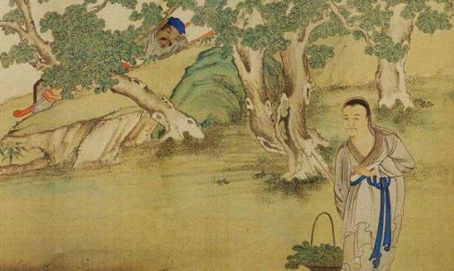 《三国演义》中张飞为何而死