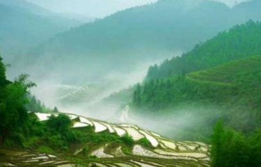 宋朝时期,赣南地区的民风有何特征