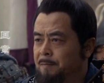 第二次函谷关之战是什么结果