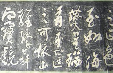 探索唐代宫廷宠物的三大来源,宫廷宠物有哪些种类