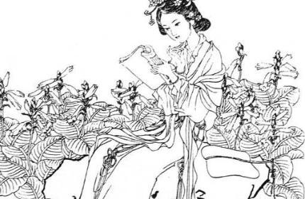 后蜀后主孟昶的贵妃——费花蕊简介