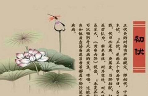 窦材有着哪些医学理论
