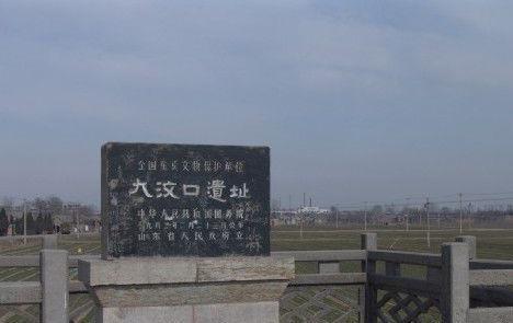 大汶口文化：中国新石器时代文化，因山东省泰安市大汶口遗址而得名