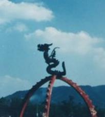 1878年浙江真龙现身,曾出现一条白龙