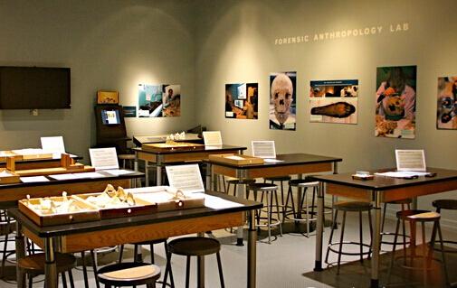 美国三所大学竟然建造尸体农场