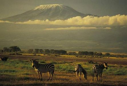 地球上“美丽且充满生机”的“伤疤”——东非大裂谷