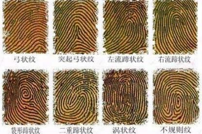 古代犯人认罪时都要签字画押 古人凭着什么技术来鉴别手印的真伪呢