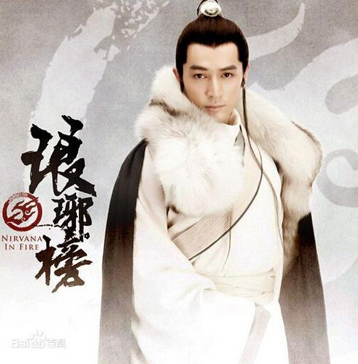 电视剧《琅琊榜》什么时候上映？琅琊榜的剧情介绍