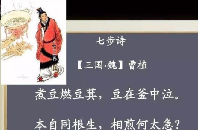 曹丕上位后有哪些政策