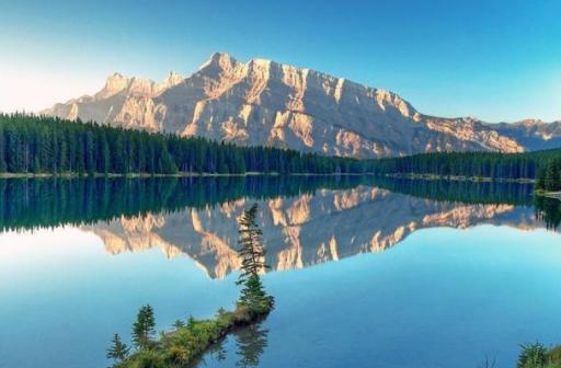 北魏人才济济！成淹、李彪舌战齐使为国争光！