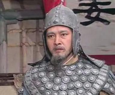 诸葛亮继承人的姜维,为何说他是蜀国最后的守护神