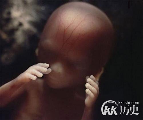 生命孕育全过程图解：揭秘女人身体里神奇的照片