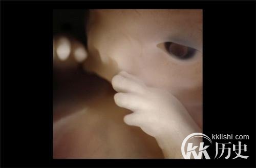生命孕育全过程图解：揭秘女人身体里神奇的照片