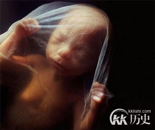 生命孕育全过程图解：揭秘女人身体里神奇的照片