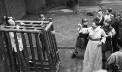 胡惟庸真的是被蚊子叮死的吗