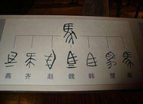 秦朝统一后实行了哪些政策