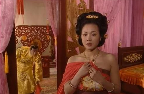 历史上杨广与宣华夫人发生过什么事