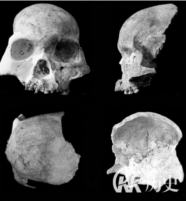 云南惊现历史掩盖的新人种 “马鹿洞人”