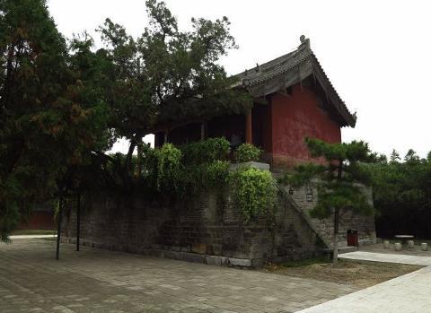 温国的后人都是姓温吗