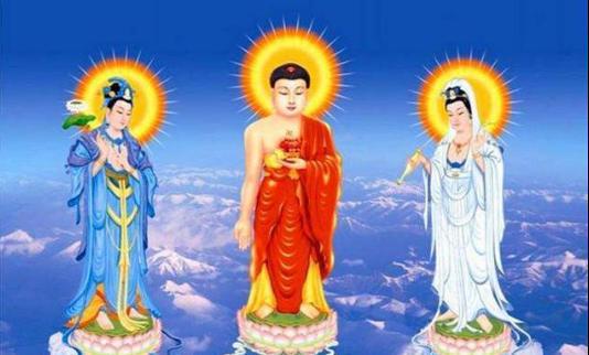 禅与净土有何区别