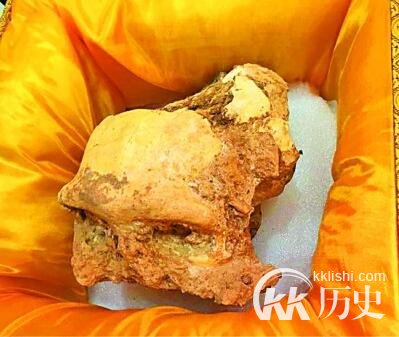 考古最新发现：东至出土直立人头骨化石