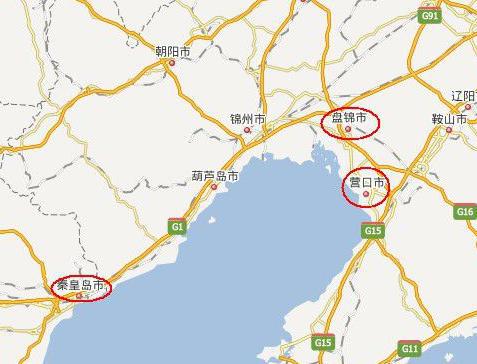 营川坠龙事件简介 事件的过程是什么样的