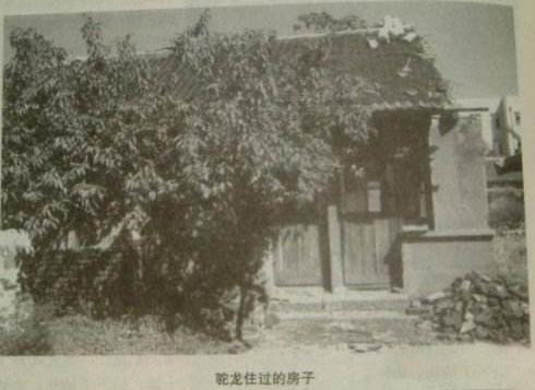 东北美女土匪 民国匪首驼龙简介