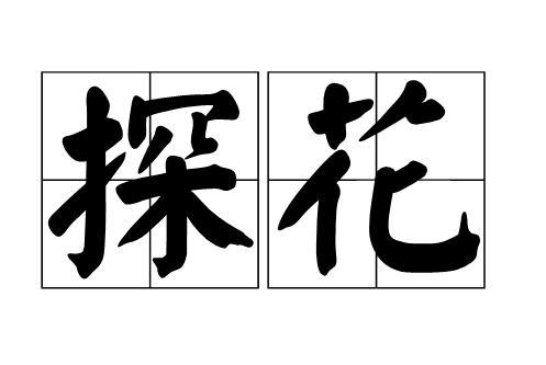 探花：中国古代科举考试中对位列第三的进士的称谓