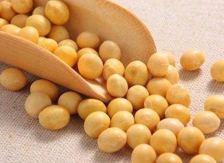 古代的主要食物是什么 古人一般都吃什么呢