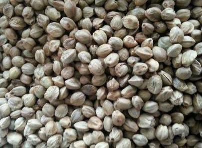 古代的主要食物是什么 古人一般都吃什么呢