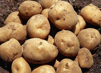 古代的主要食物是什么 古人一般都吃什么呢