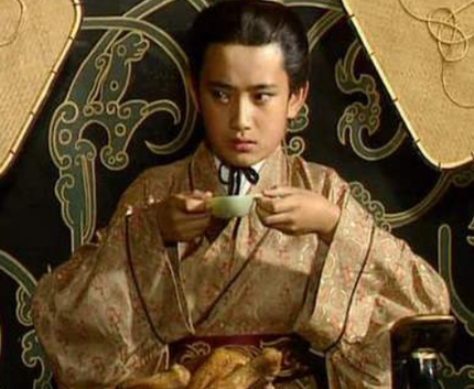 诸葛亮真的是平民出身吗 诸葛亮的家族影响有多大