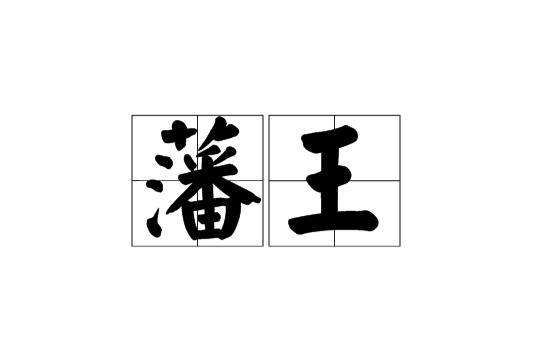 藩王：地方官吏与天子之间的统治者，有自己的藩王国