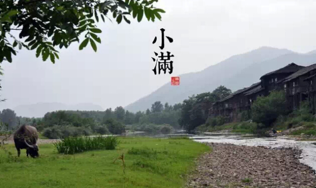 二十四气节之小满 小满是什么意思