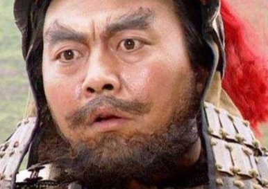 严颜能力出色，他在投降刘备后为何会销声匿迹