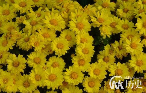 又是九九重阳节:古代人过重阳节有哪些习俗?