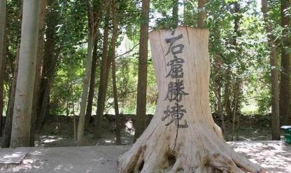 历史上著名的河西四郡:酒泉郡、武威郡、张掖郡、敦煌郡