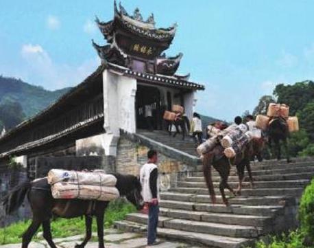 古代南方又不是有什么野兽 为何北方人会害怕去那里呢