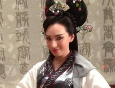 王夫人的儿子是谁