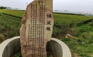 曹操出征时夏侯惇驻守差点全军覆没,曹操不罚反赏是什么操作