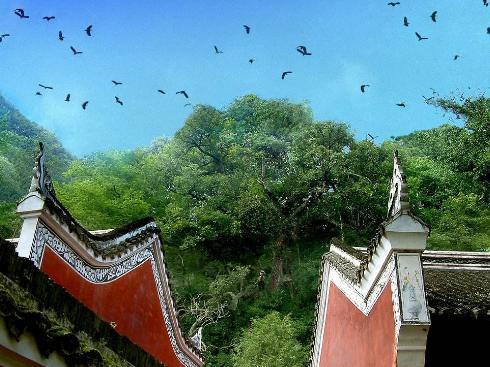 庸国是谁建立的