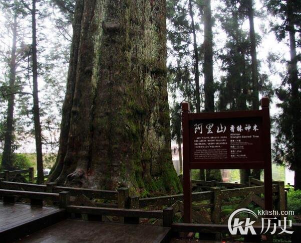 台湾民间传说:关于阿里山神木的传说