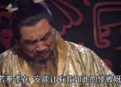 俗话说郭嘉不死,卧龙不出 郭嘉究竟有多厉害