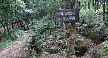 何绍周是谁