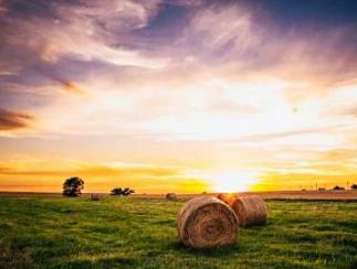 曹操对杨沛宠爱有加,为何杨沛最后要受冻受饿