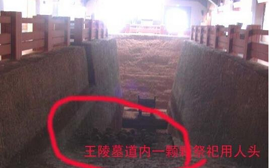 不忍直视！七张令人恐惧的考古发现图