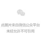 盘点：20个令你大开眼界的真实日本雷人发明