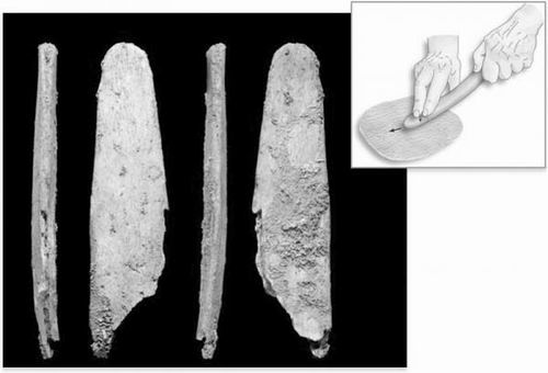 考古发现：尼安德特人5万年前就会制作骨器